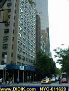 thm_NYC-011629.jpg