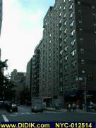 thm_NYC-012514.jpg