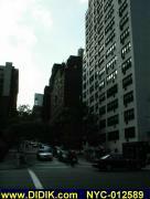 thm_NYC-012589.jpg