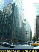 thm_NYC-012616.jpg