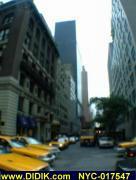 thm_NYC-017547.jpg