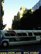 thm_NYC-018547.jpg